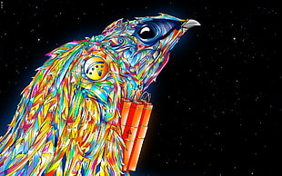 multicolored eagle photography HD wallpaper